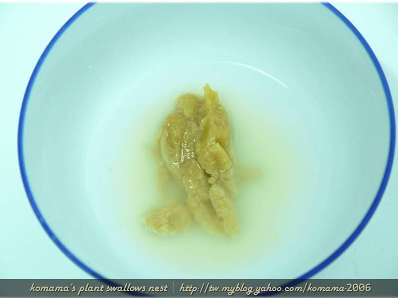 ��ľ������ζ������������