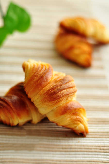 ��������̵�����