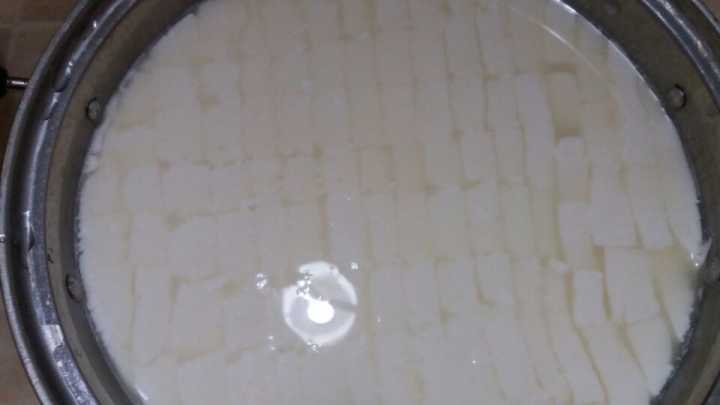 ������������֥ʿ�������������ң���˿֥ʿ������