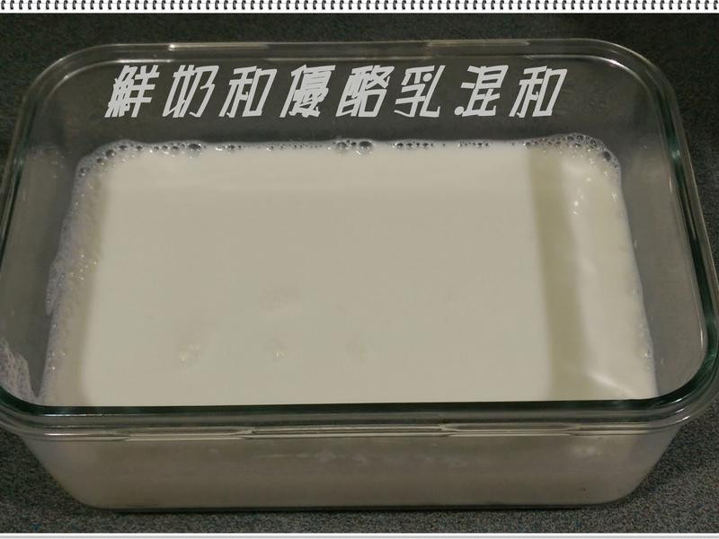 ���������Ÿ������