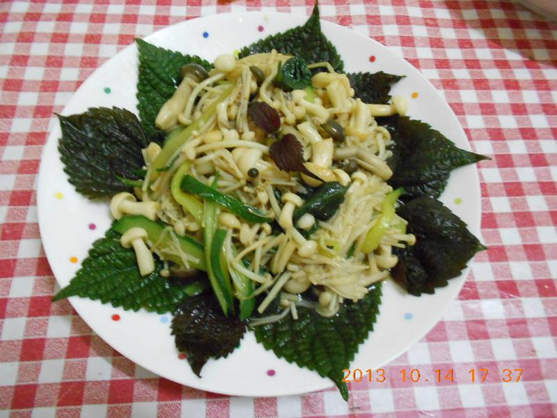 �������հ��ʹ�������