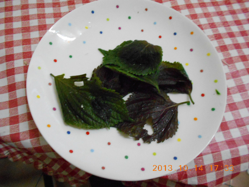 �������հ��ʹ�������