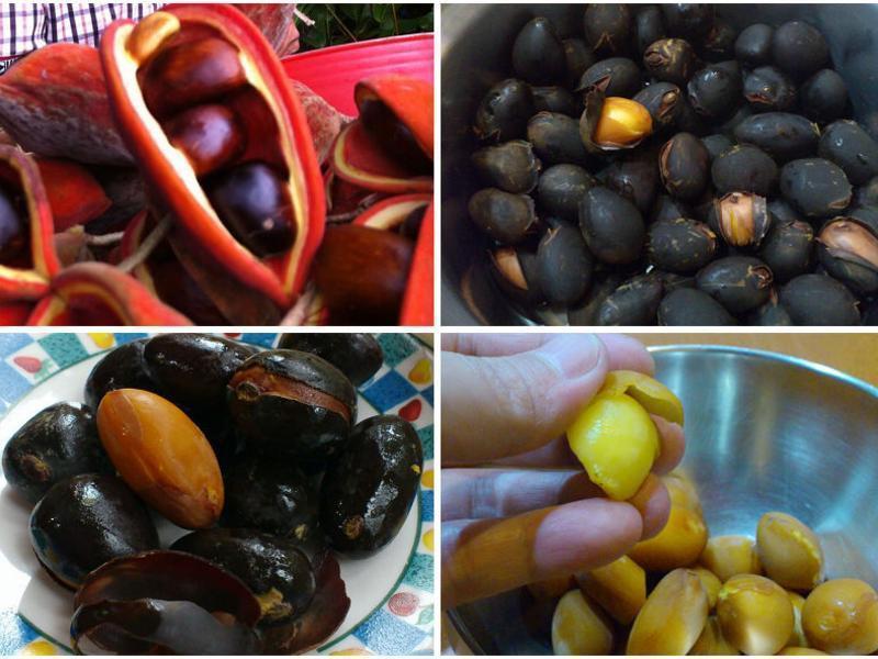 ���շ��۹�������