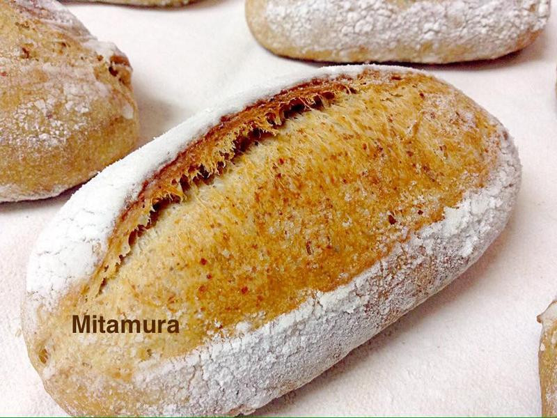 ���Ⱥ��������������������