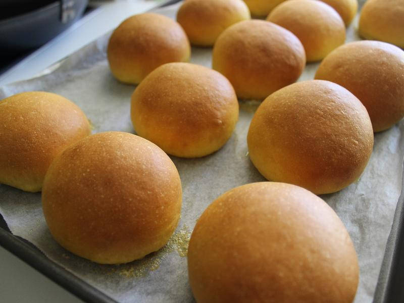 ���Ϲ������ͲͰ�������