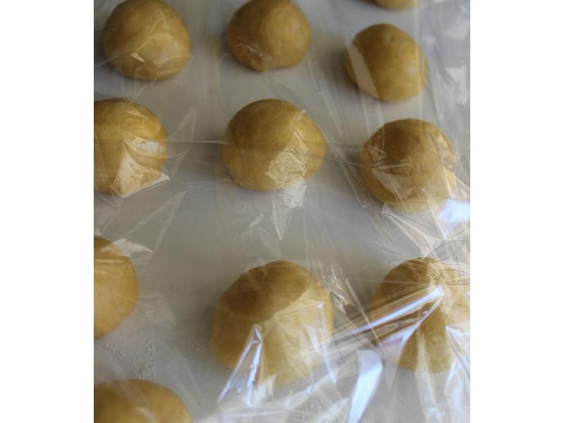 ���Ϲ������ͲͰ�������