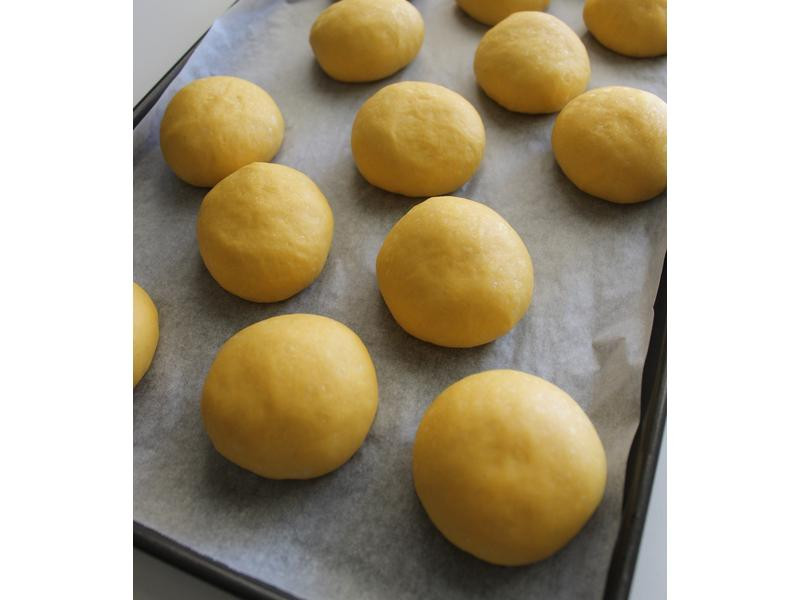 ���Ϲ������ͲͰ�������