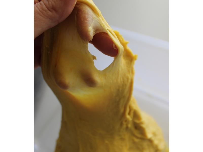 ���Ϲ������ͲͰ�������