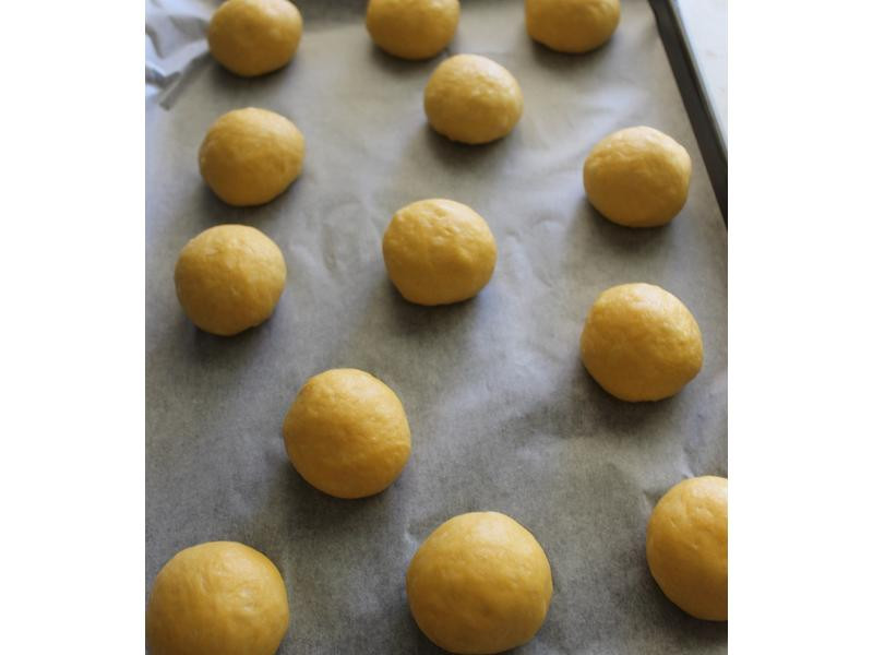 ���Ϲ������ͲͰ�������