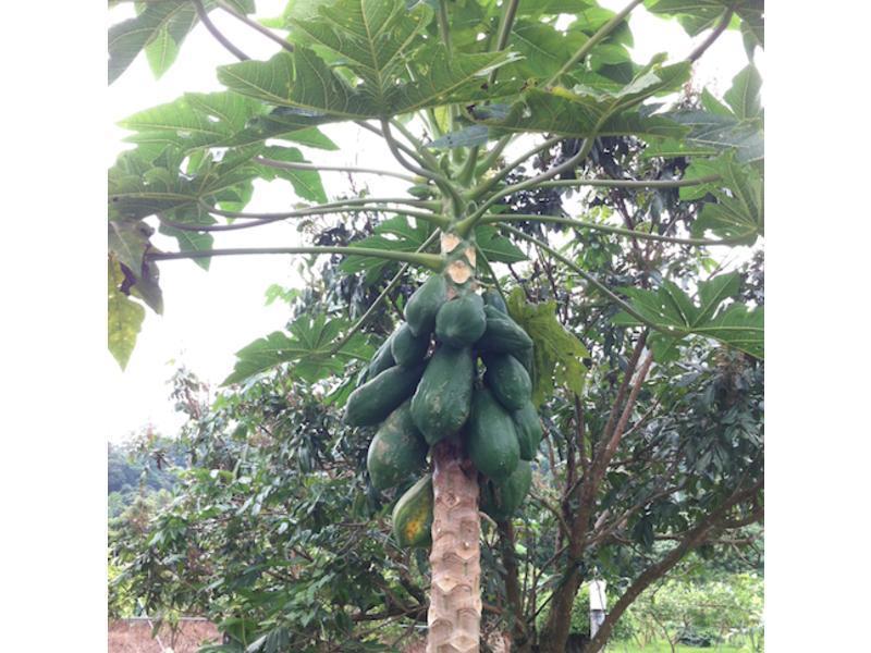 ���������ľ��˿������