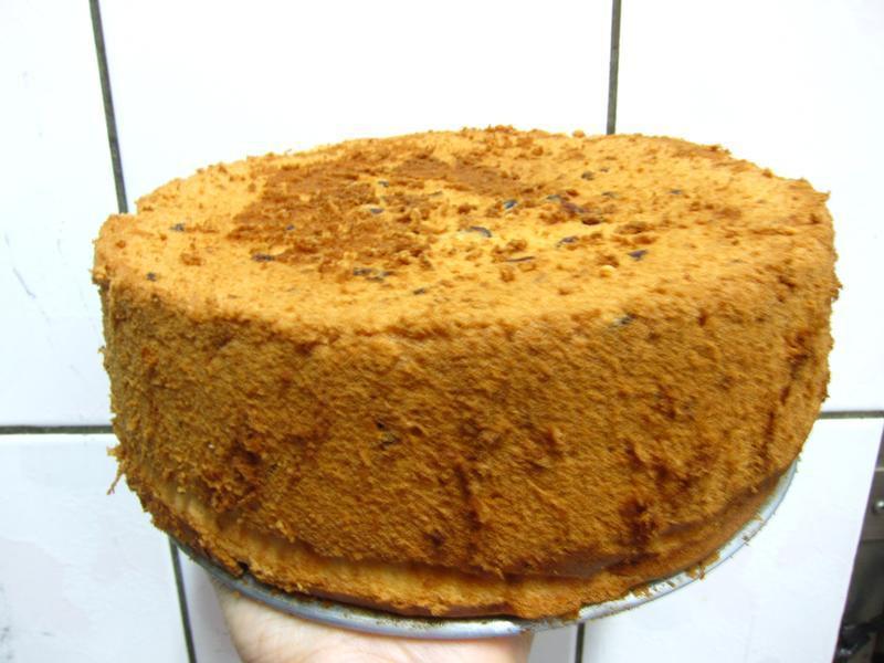 �㽶��Խݮ�ݷ絰�������