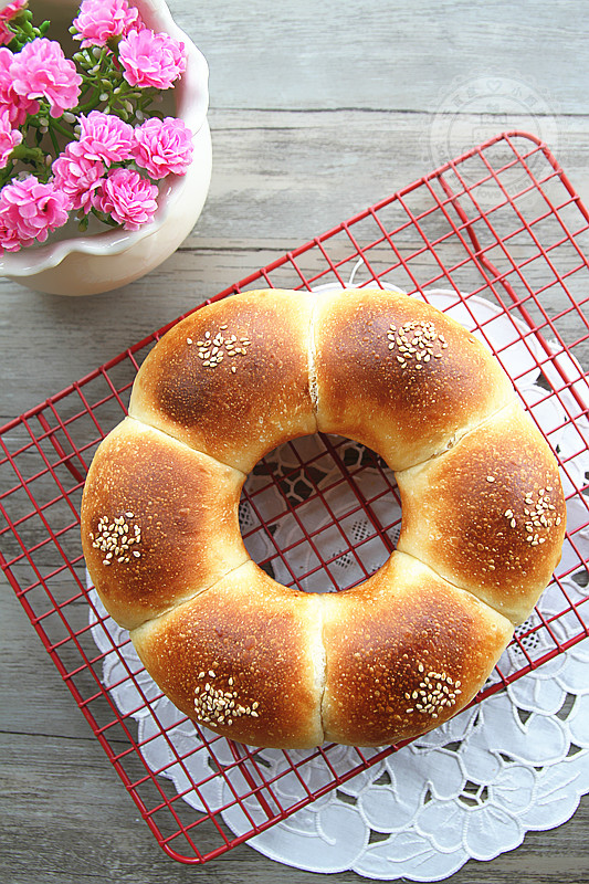 ţ����ʹ���������