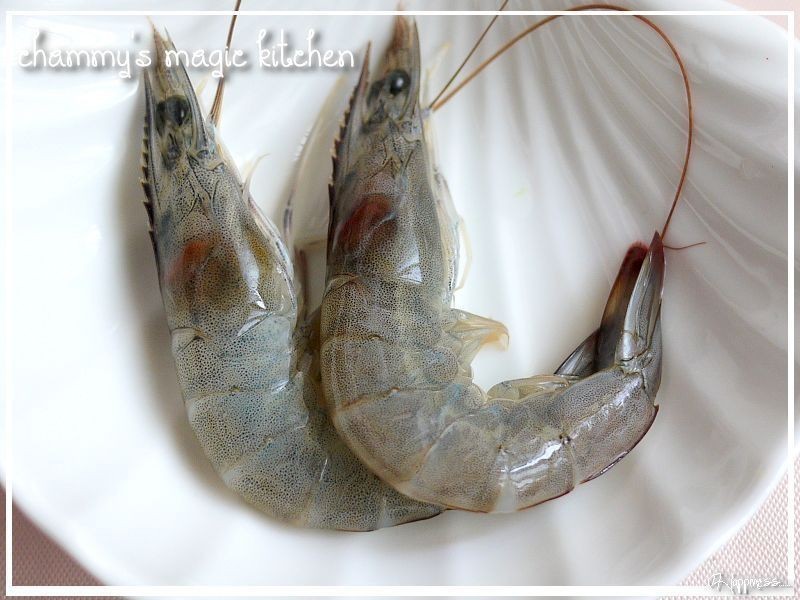 ��Ϻ����Ũ��?Chammy������