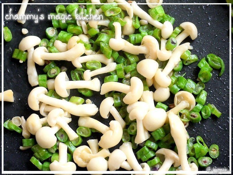 ��Ϻ����Ũ��?Chammy������