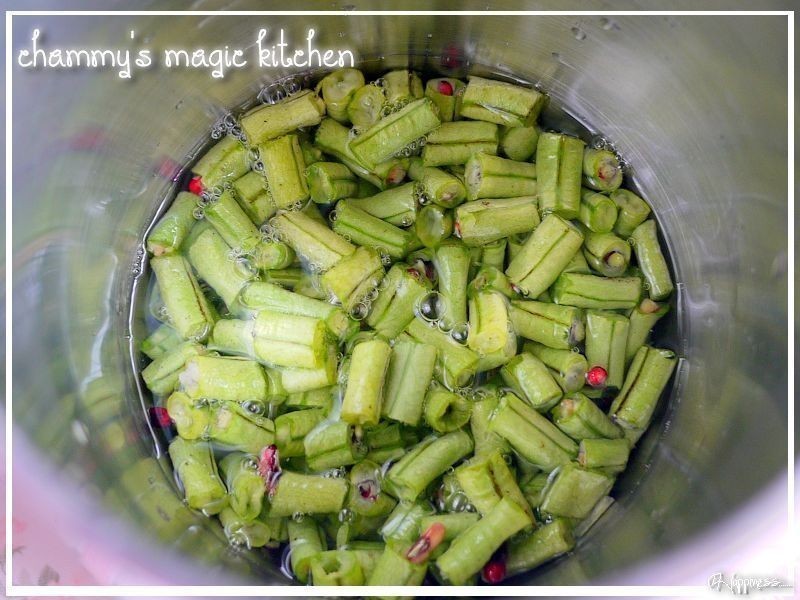 ��Ϻ����Ũ��?Chammy������