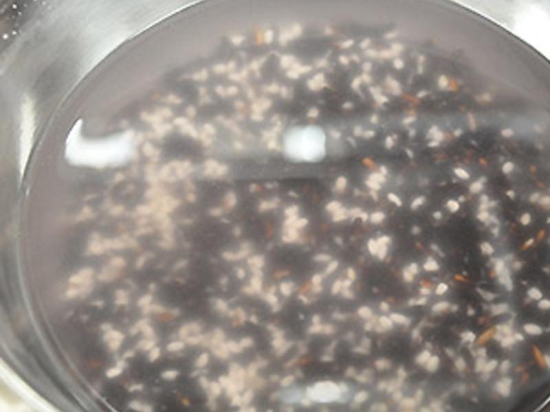 ��Բ���������������