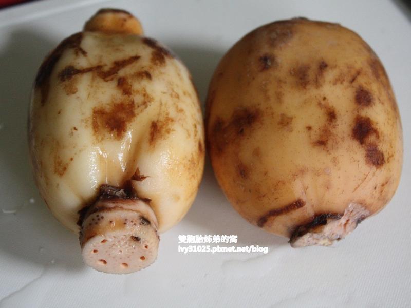 �ڼ�͵������ź���������յ����ȵ�����