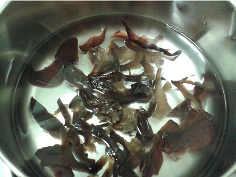 ����ƶ�ѿ������