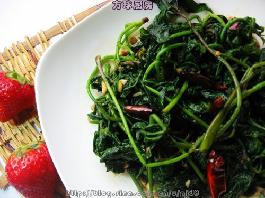 �������ӵ�����