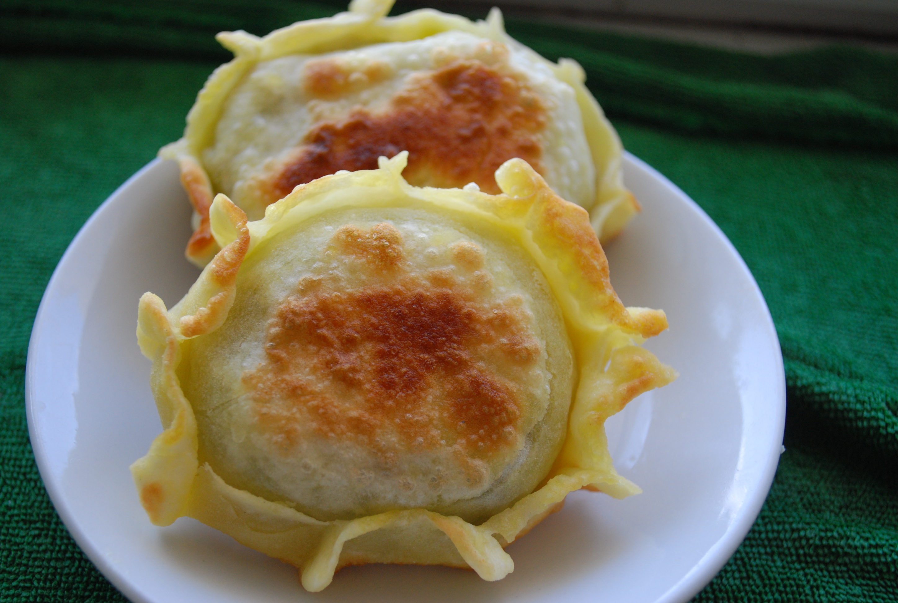 ���տ��²˺е�����