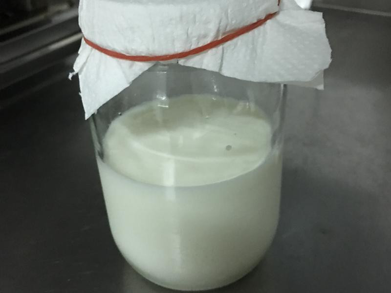 ���ƿ˷ƶ���Ԫ������