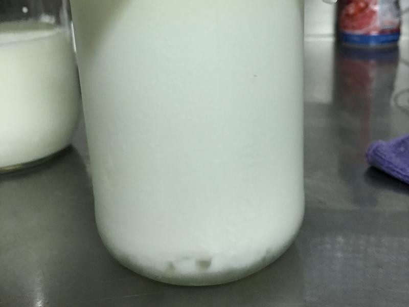 ���ƿ˷ƶ���Ԫ������