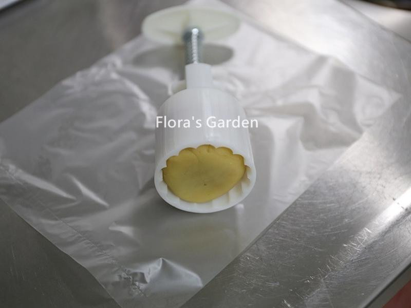 ��ɫ�̶��������