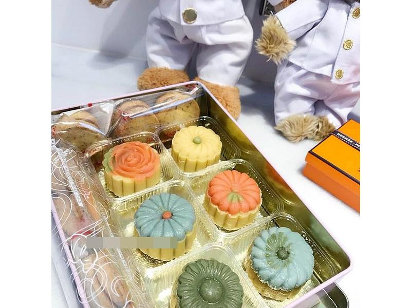 ��ɫ�̶��������