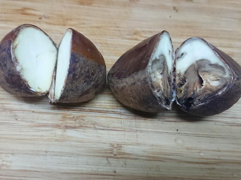 �������Ӽ���������