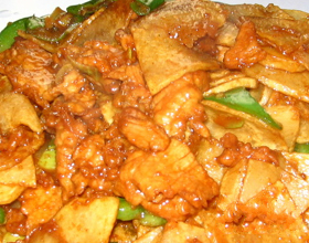 ����������Ƭ������