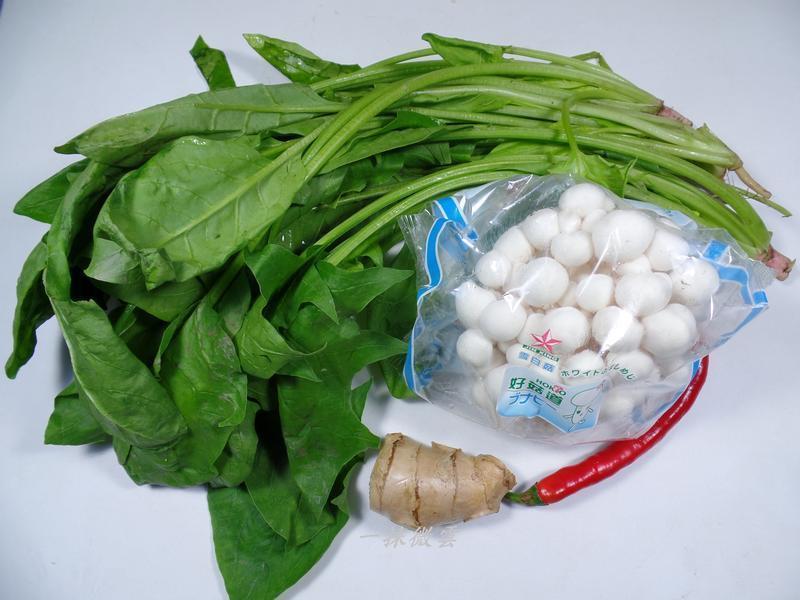 ���˳��ʹ���0����������(����ʳ)������