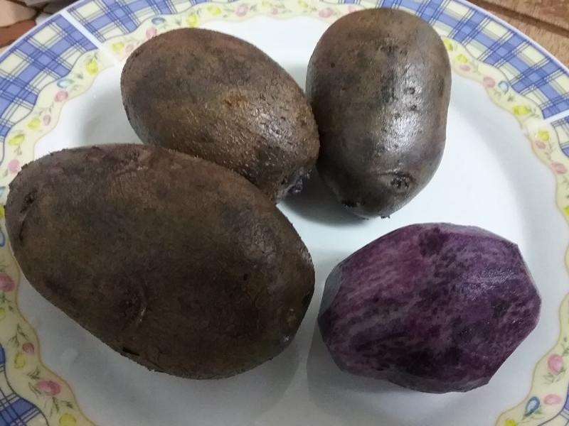 �ǿ�����������˾������