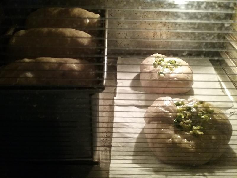 �ǿ�����������˾������