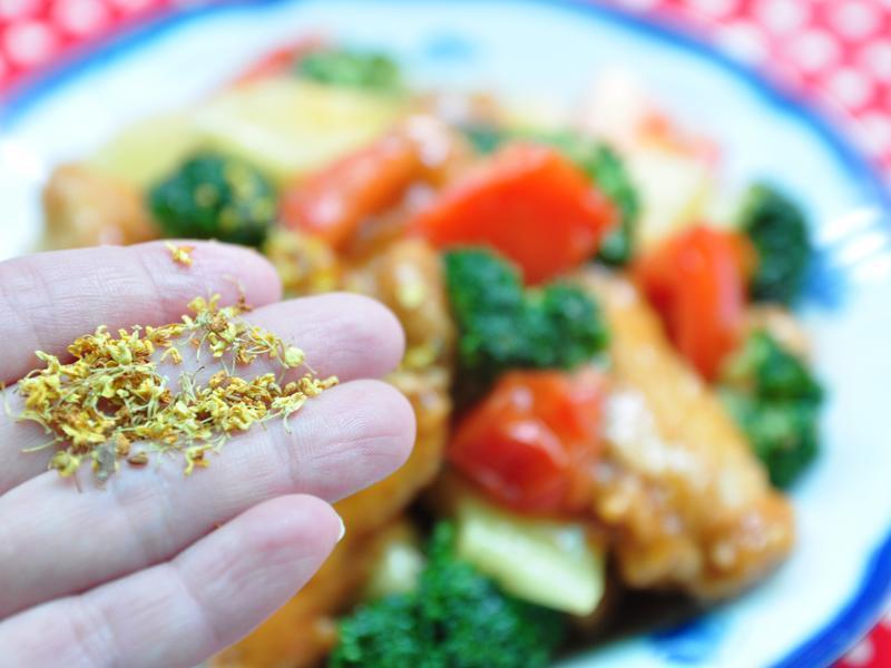 ����������Ƭ������