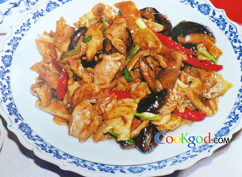 �������Ƭ������