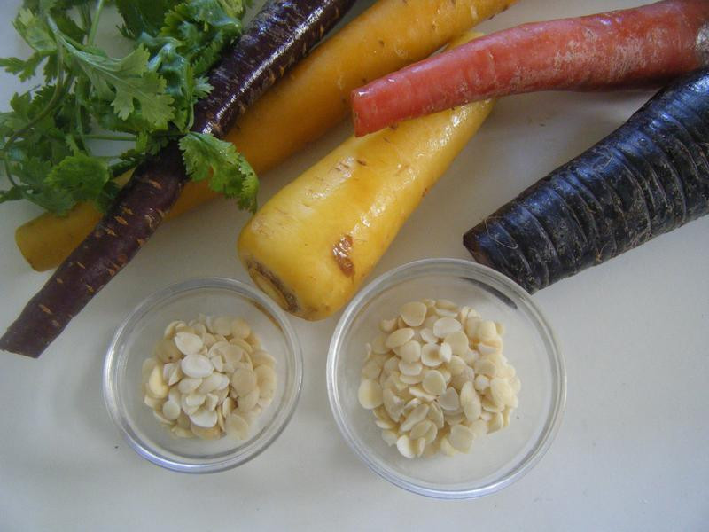 ��ʽ��ɫ�ܲ�����������