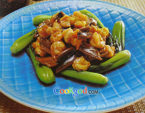 ����Ϻ������