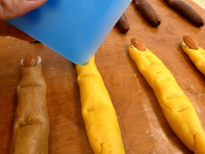 ��ʥ��������ָ���ɵ�����