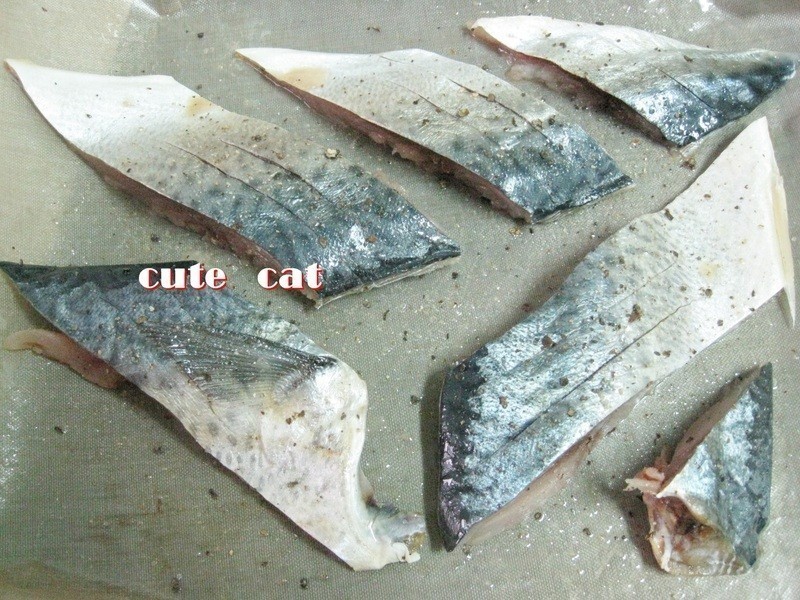 ���㿾�������