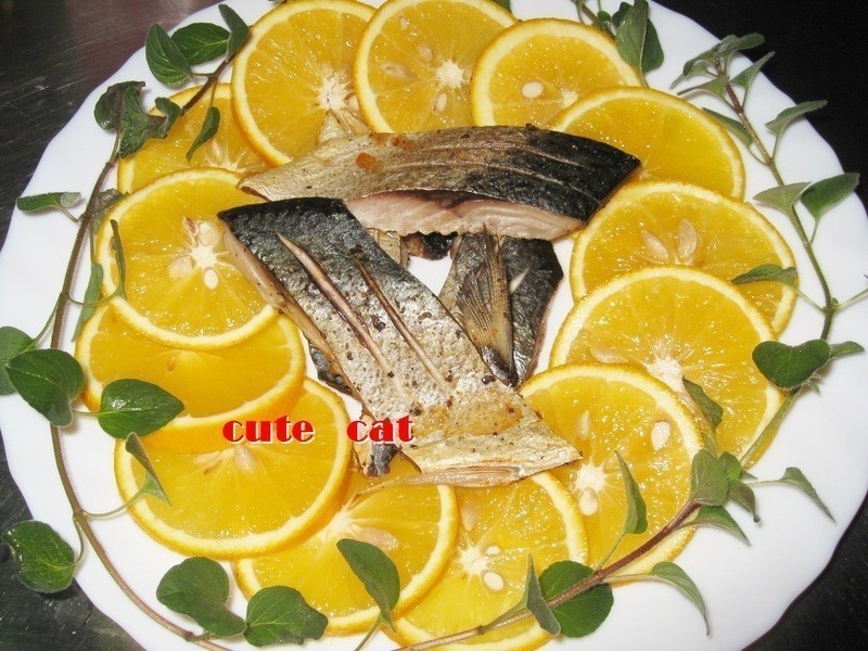 ���㿾�������