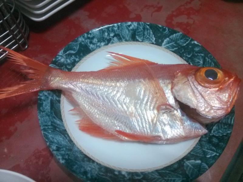 �������������