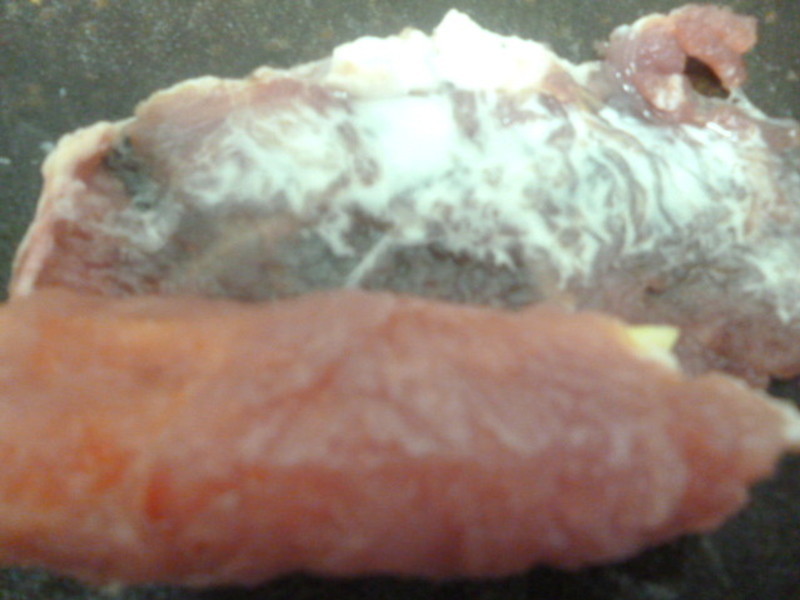 ���Kƻ�����������