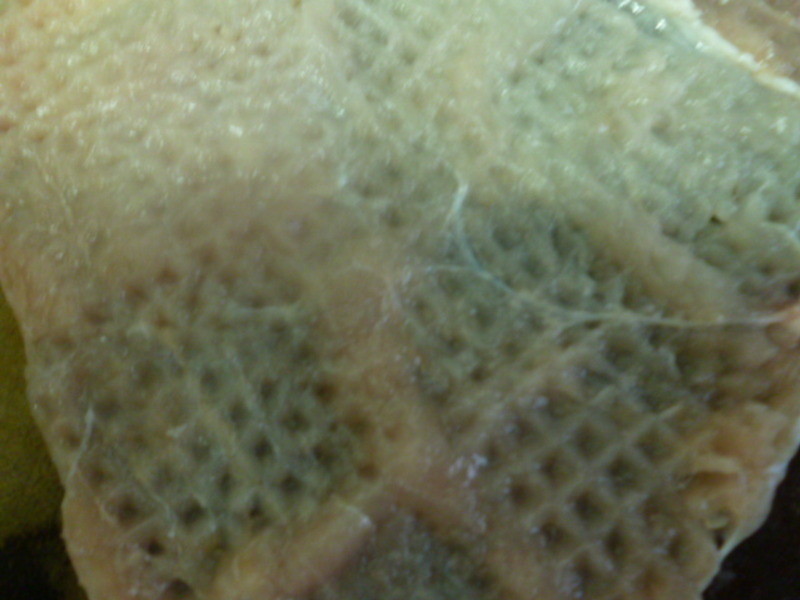 ���Kƻ�����������