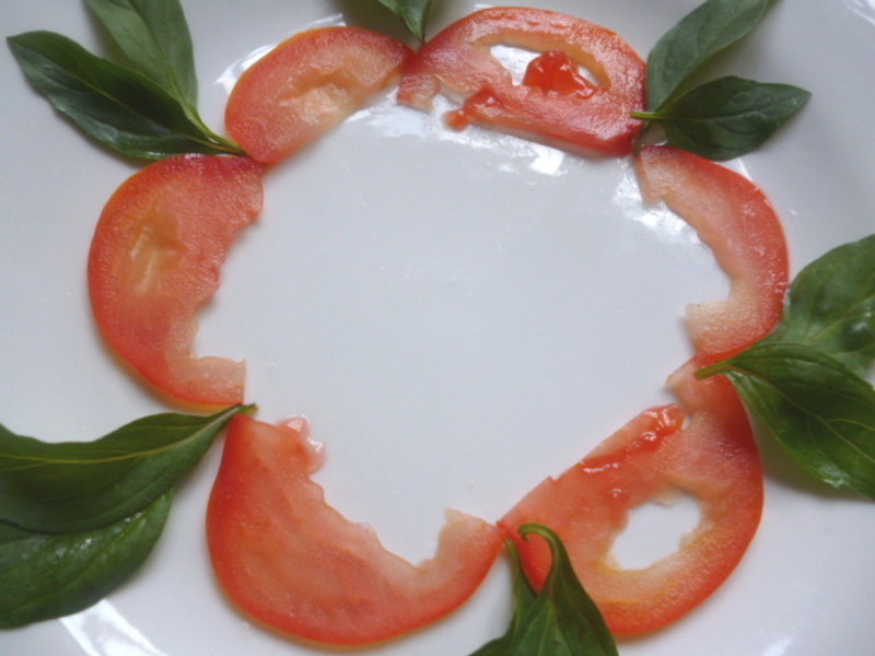 �ɼ�ĵ����Ƭ������