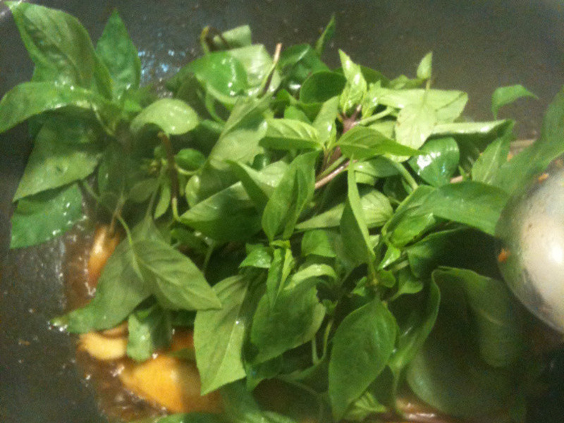 ɽ������-�����ӱ���������