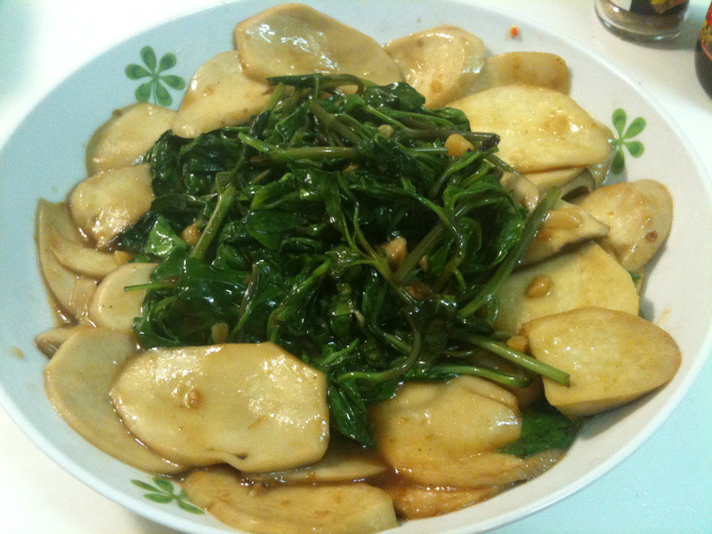 ɽ������-�����ӱ���������