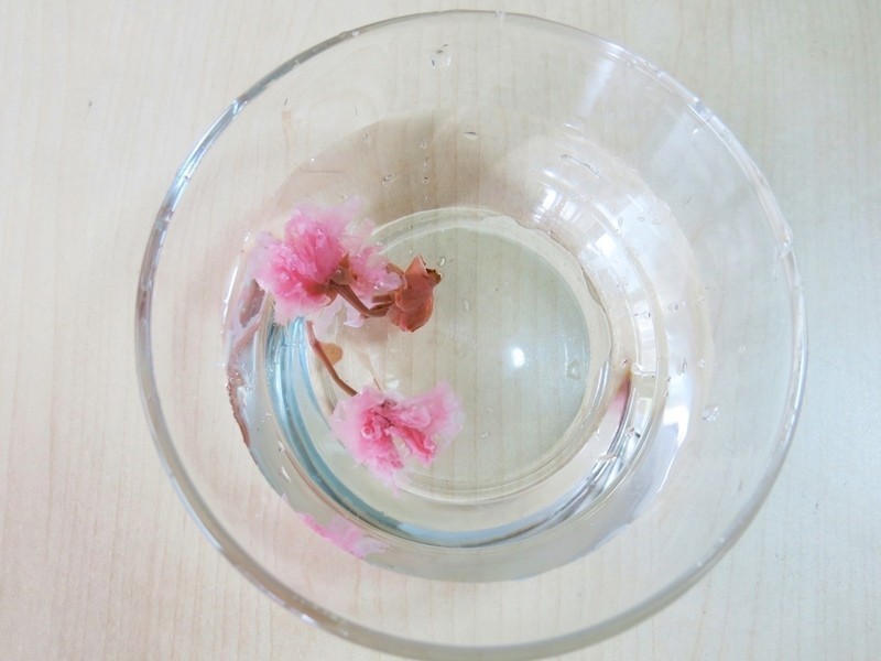 ��ĩӣ��������ʿţ��������