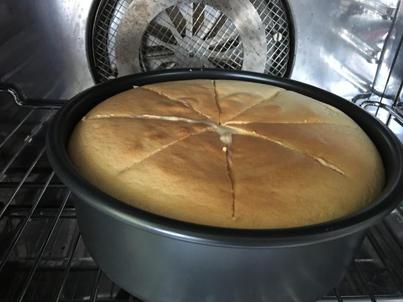 ����ζ�ݷ絰�������