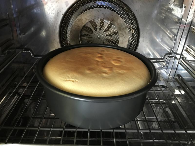 ����ζ�ݷ絰�������