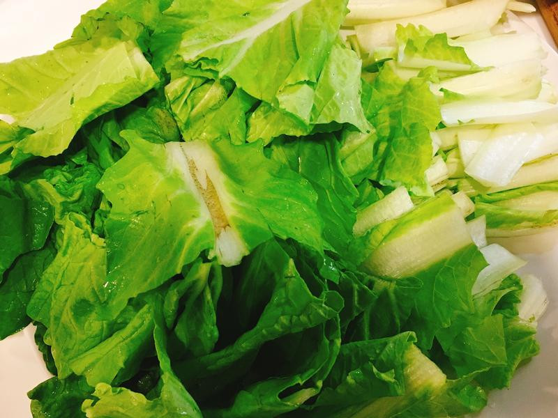 ������˶�����������